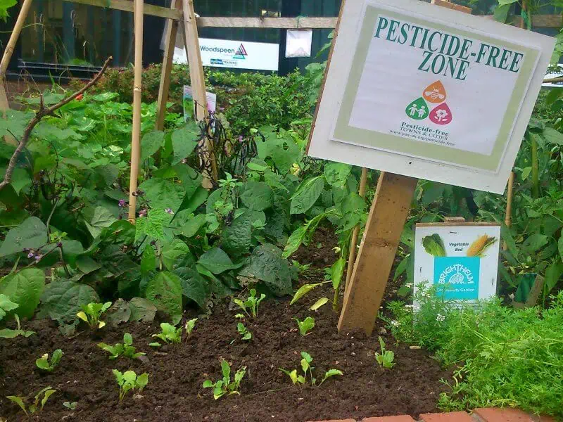 organic farming tips
