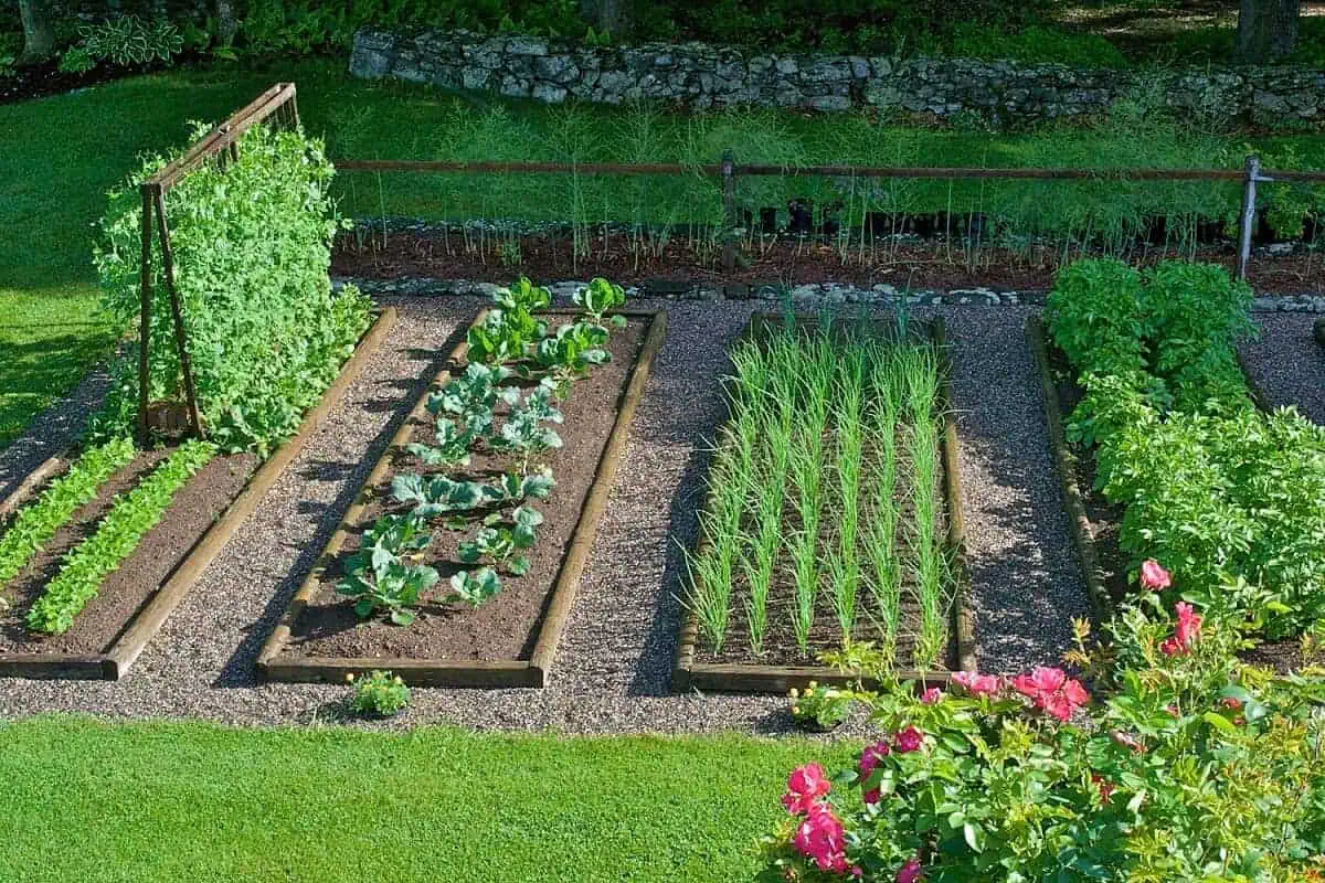 The Complete Guide to Organic Gardening with Zero Skills Organic Gardening