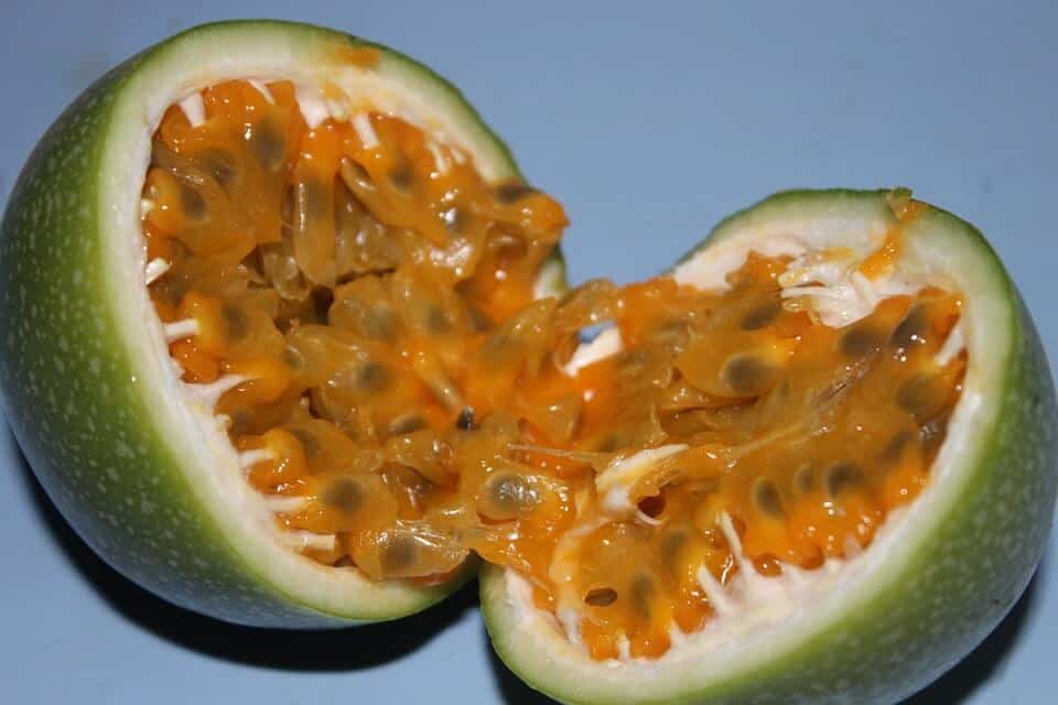 growing passion fruit - ripe fruit