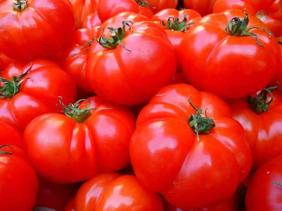 high-value vegetables