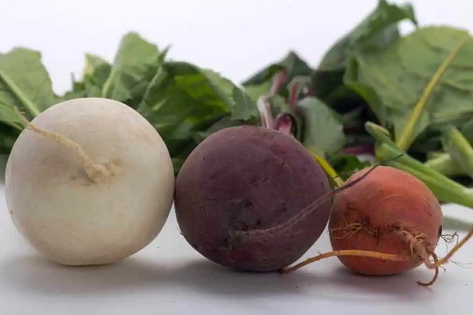 high-value vegetables