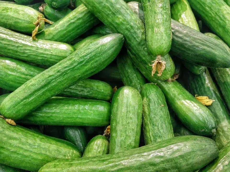 high-value vegetables