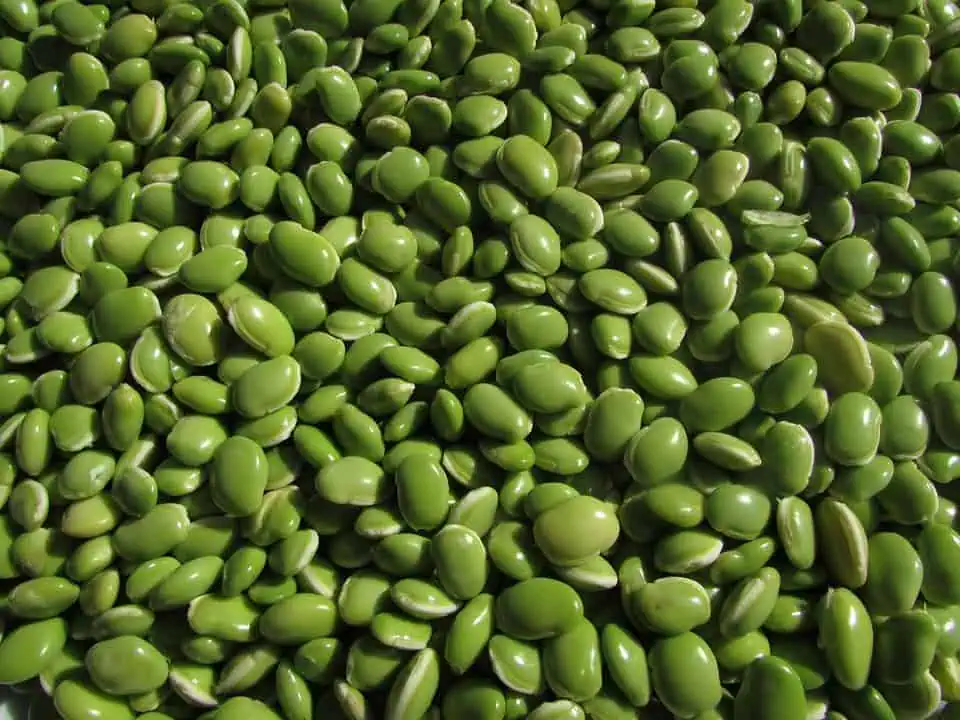 high-value vegetables