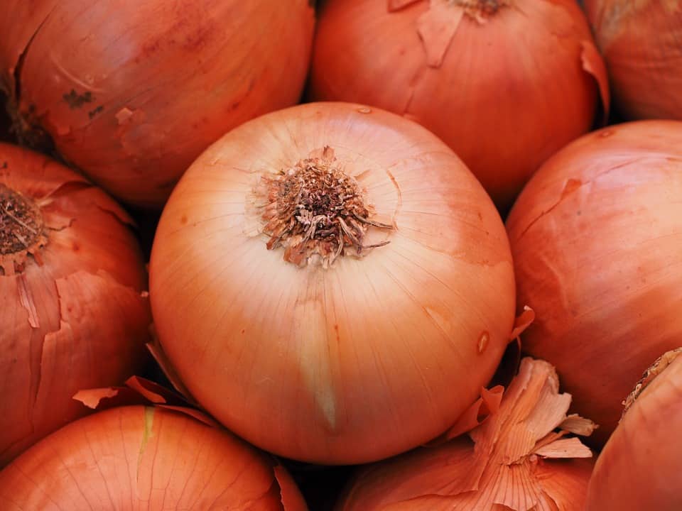 high-value vegetables-bulb onions