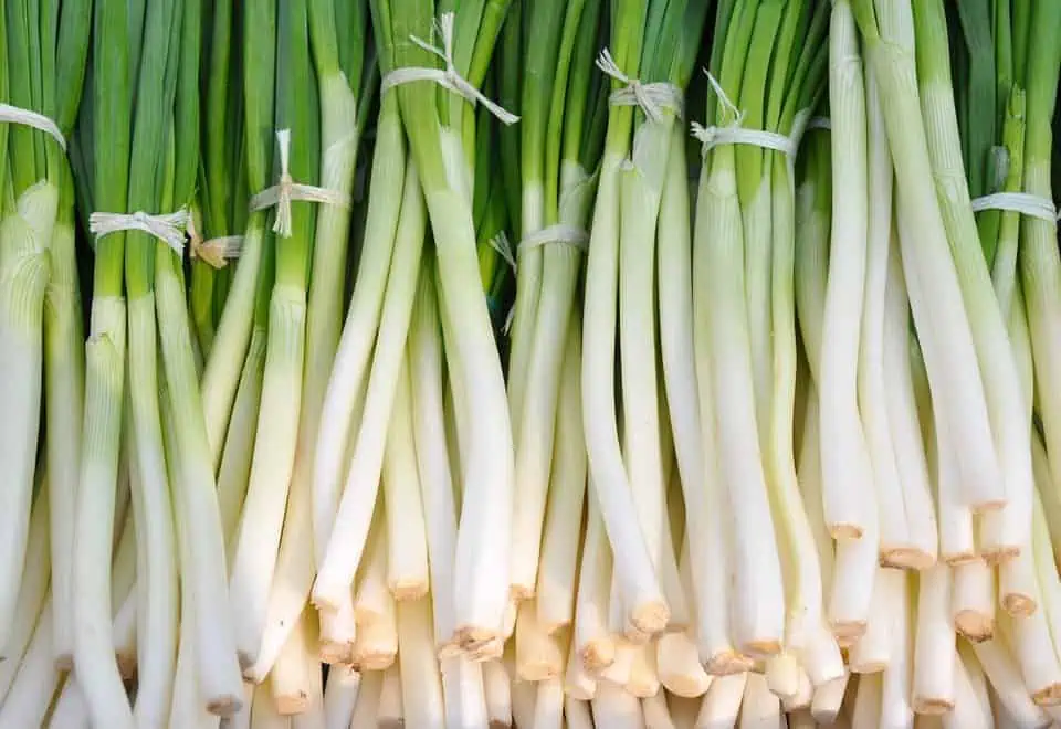 high-value vegetables-onions