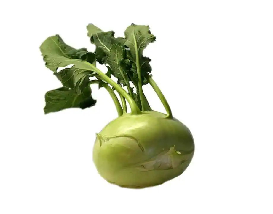 high-value vegetables