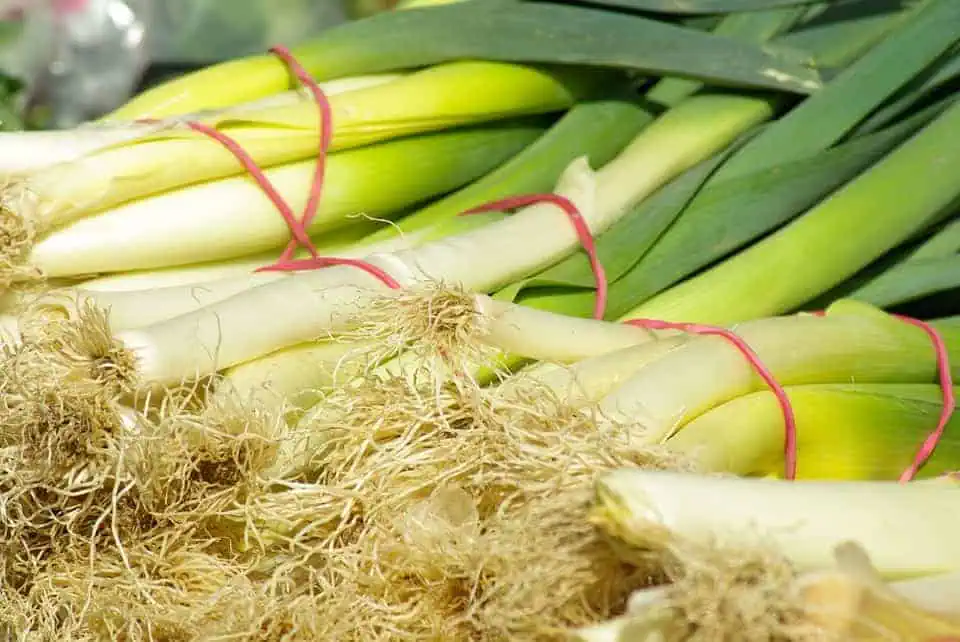 high-value vegetables