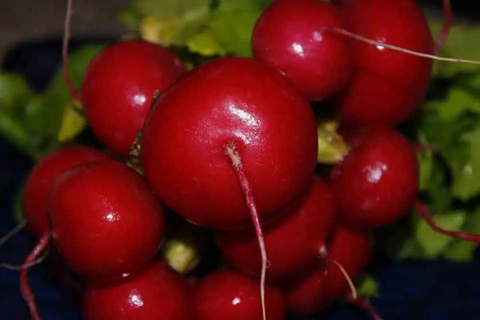 high-value vegetables