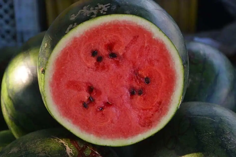 high-value vegetables-watermelon
