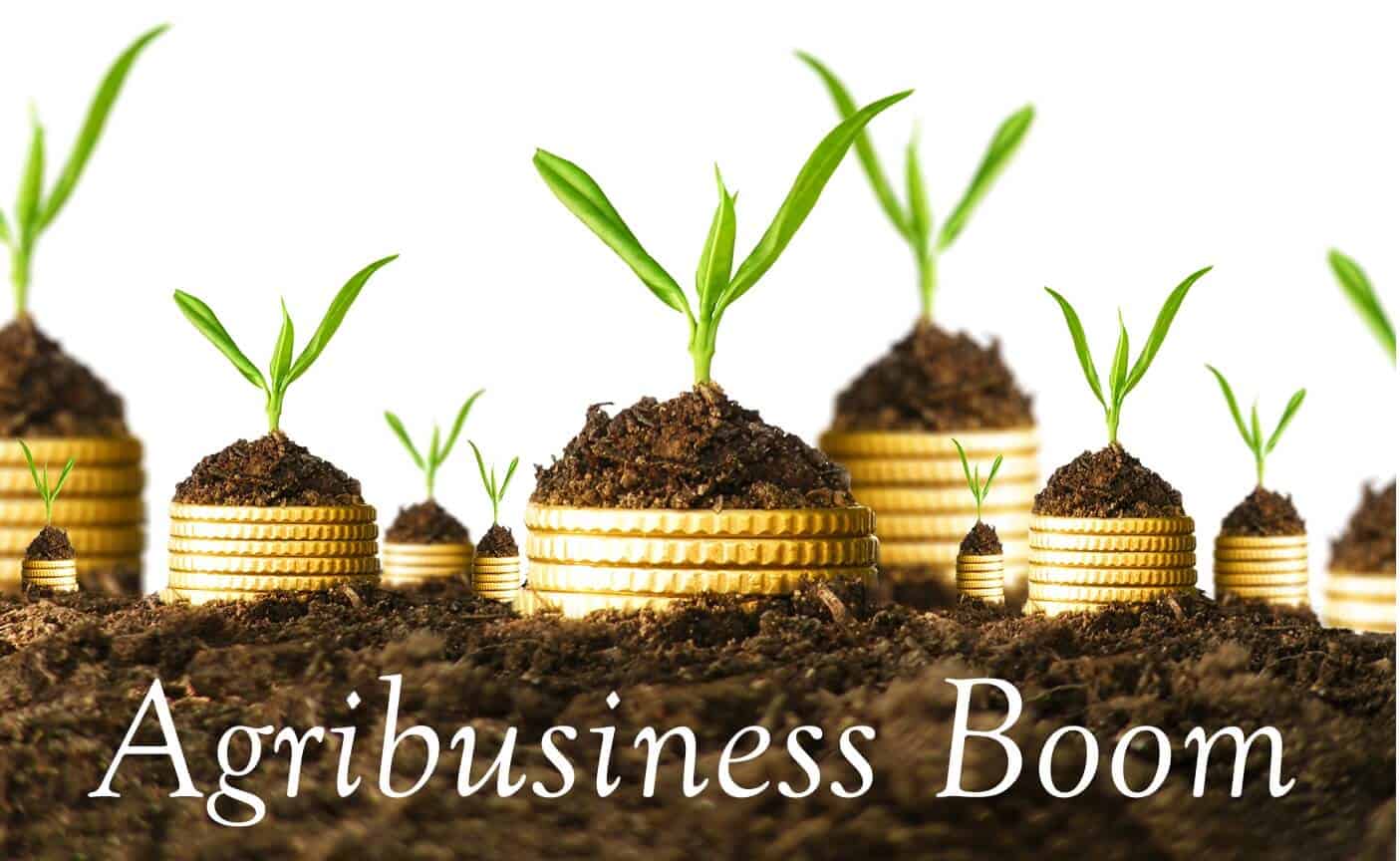 Agribusiness boom