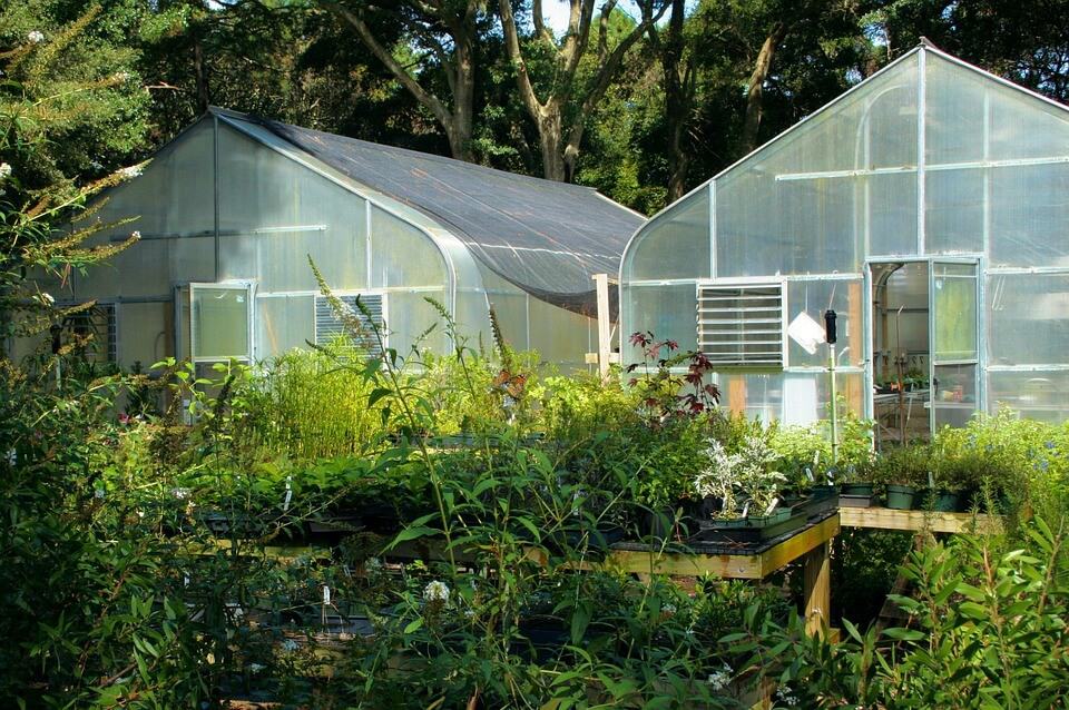 Greenhouse farming - glasshouses