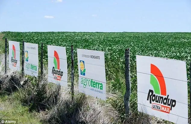 Roundup