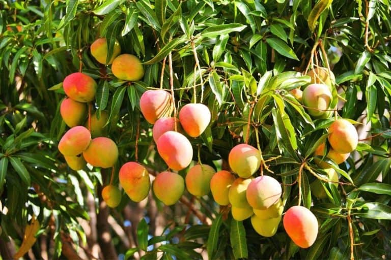 Ways to improve farm profitability