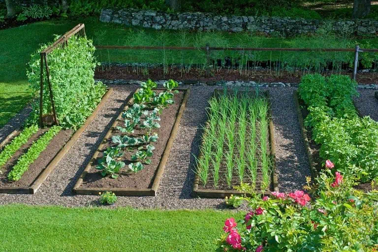 Organic Gardening