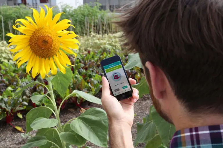 Smart Irrigation Controllers Featured