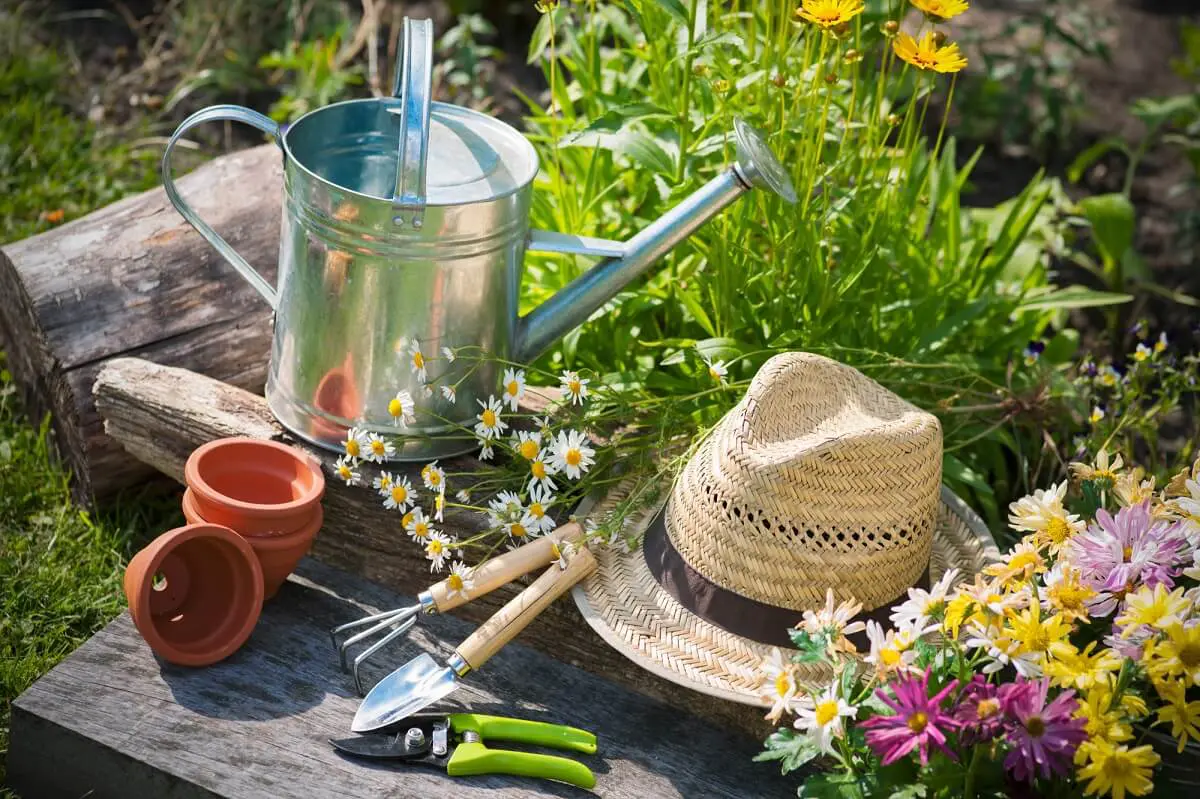 Gardening Resources and Tools Featured