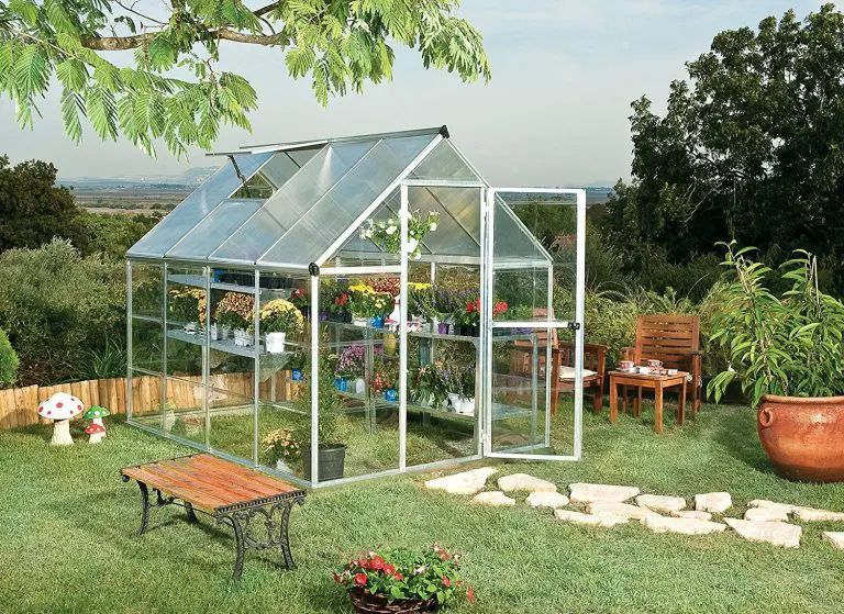 Hobby Gardening: The Best Hobby Greenhouse for Windy Area
