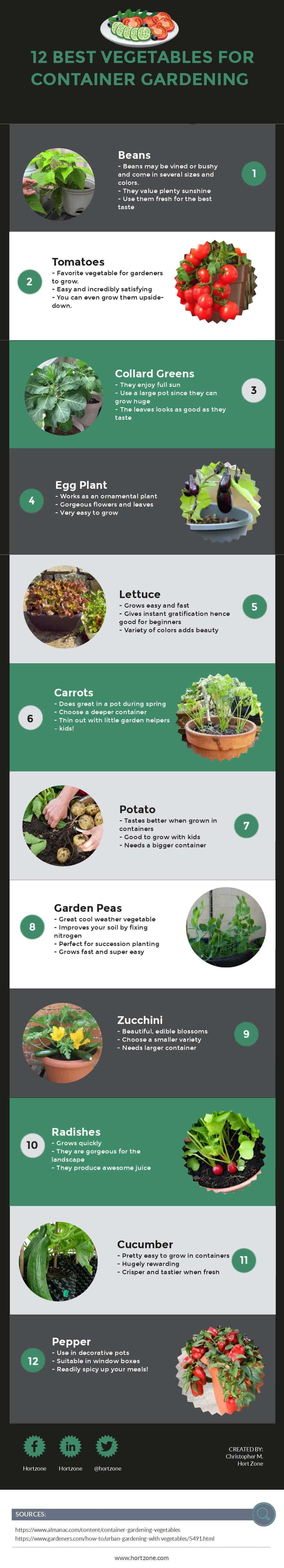 12 Best Vegetables for Container Gardening 12 Best Vegetables for Container Gardening