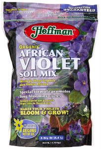 african violet supplies