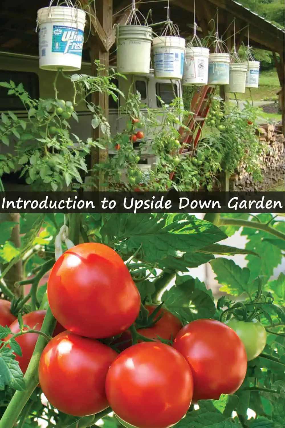 Introduction to Upside Down Gardening Introduction to Upside Down Gardening