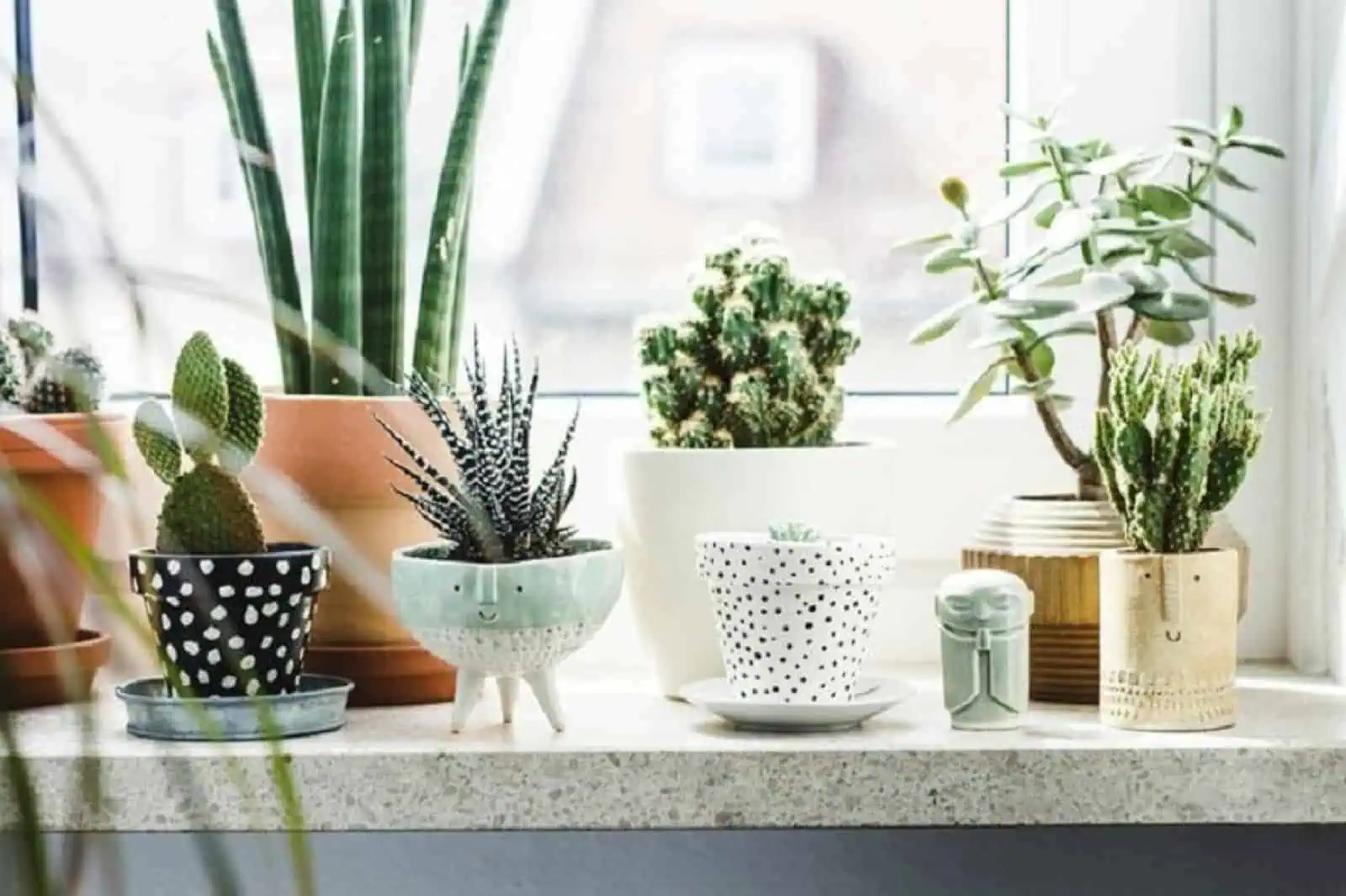 13+ Best Indoor Pot Planters for Home Decoration