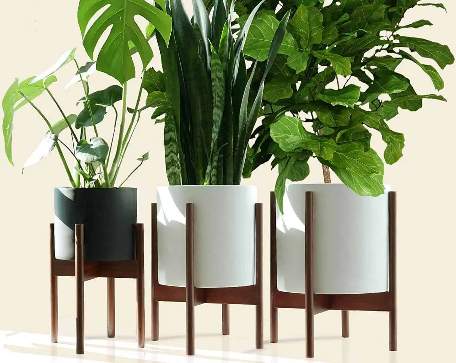 indoor pot planters