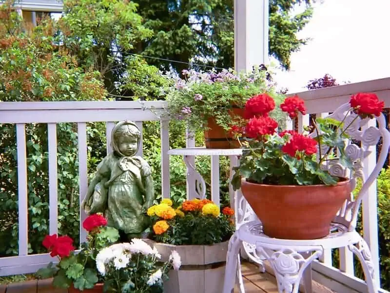 container gardening ideas