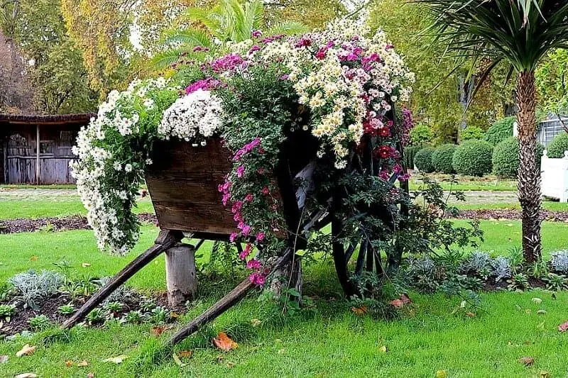 container gardening ideas