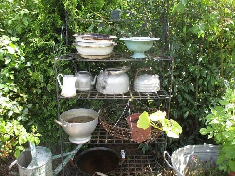 container gardening ideas