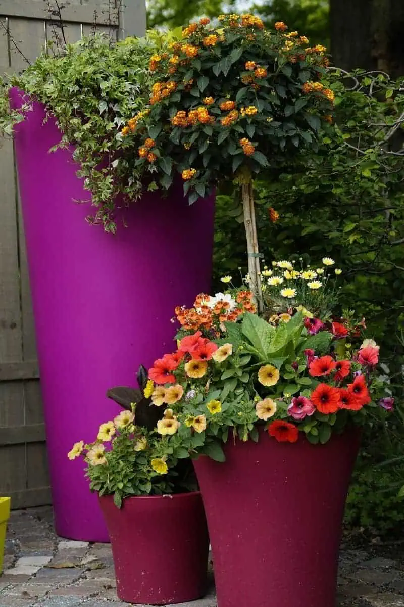 container gardening ideas
