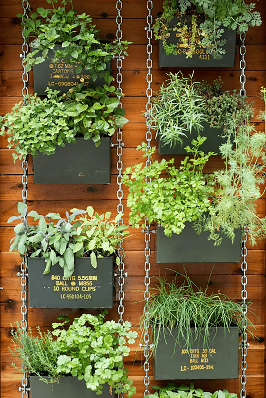 Make Use Of The Sky With A Vertical Garden
