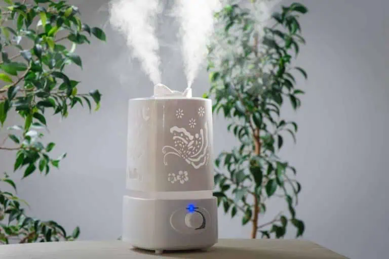 Best humidifier for Plants - Featured Image