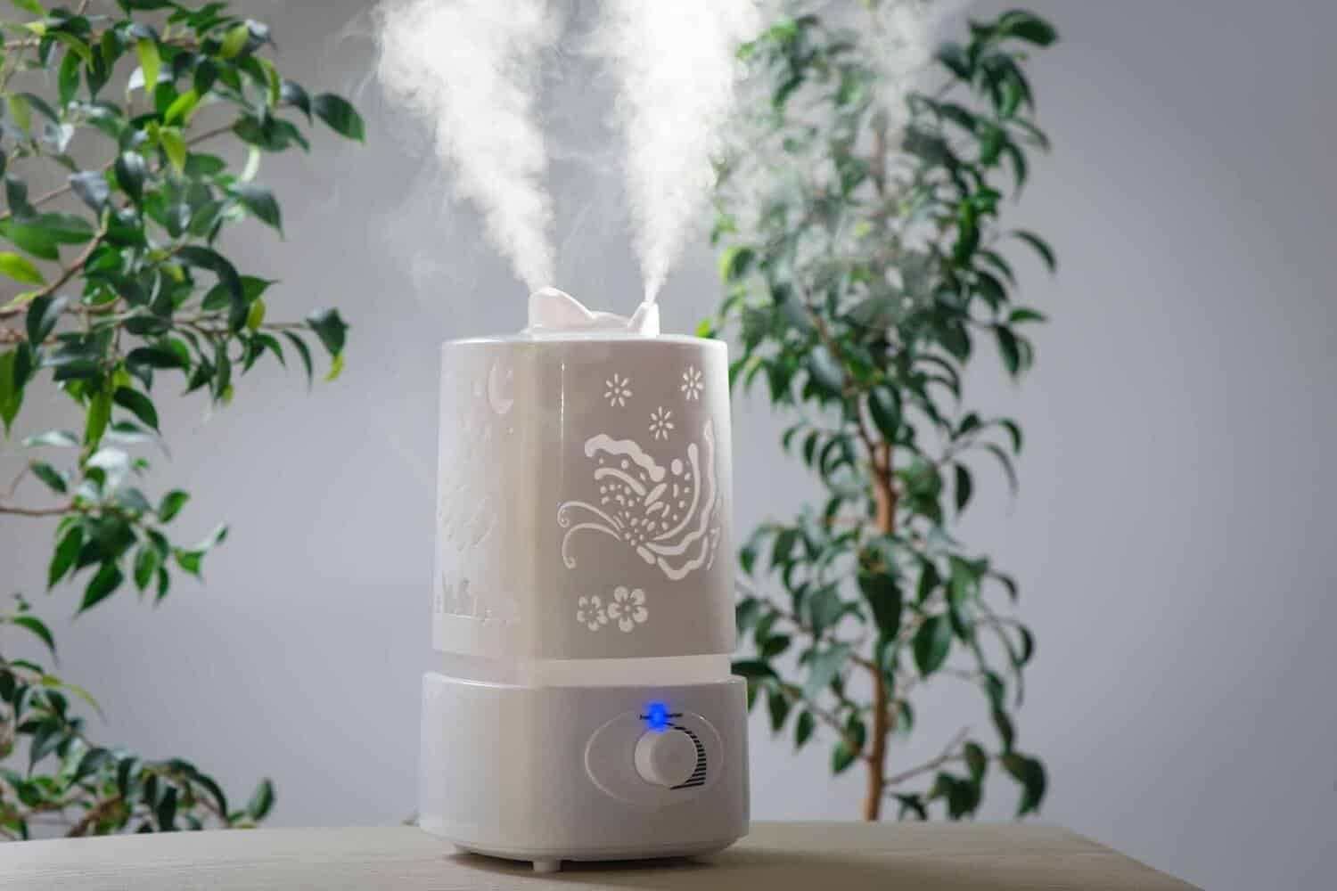 Best humidifier for Plants - Featured Image