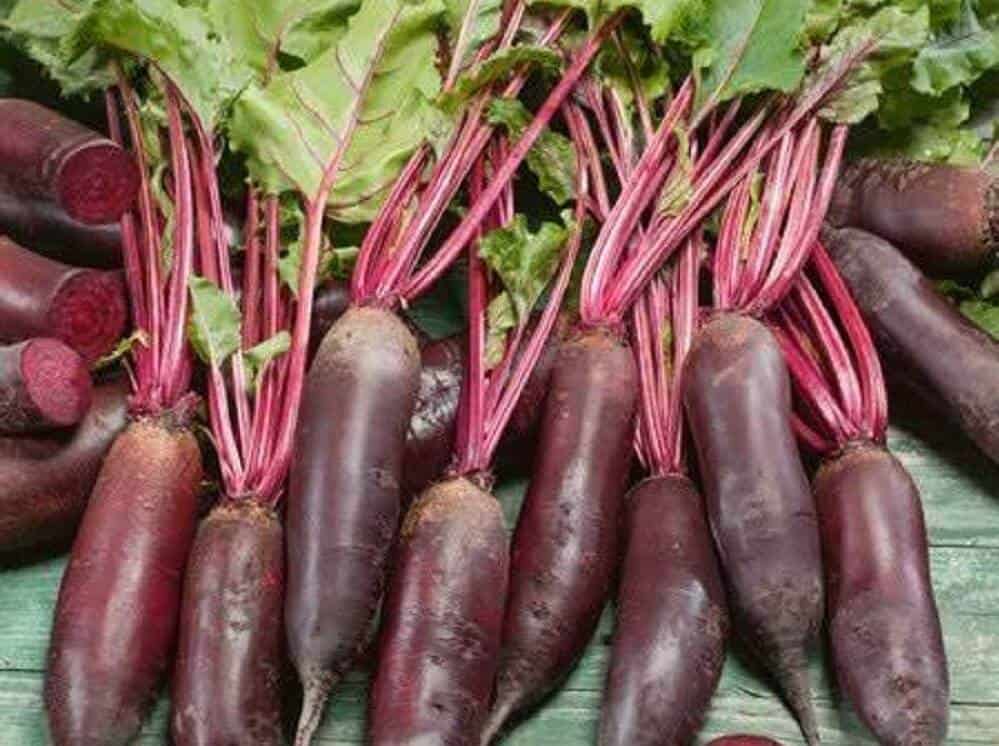 Types of Beets - Cylindra Beets