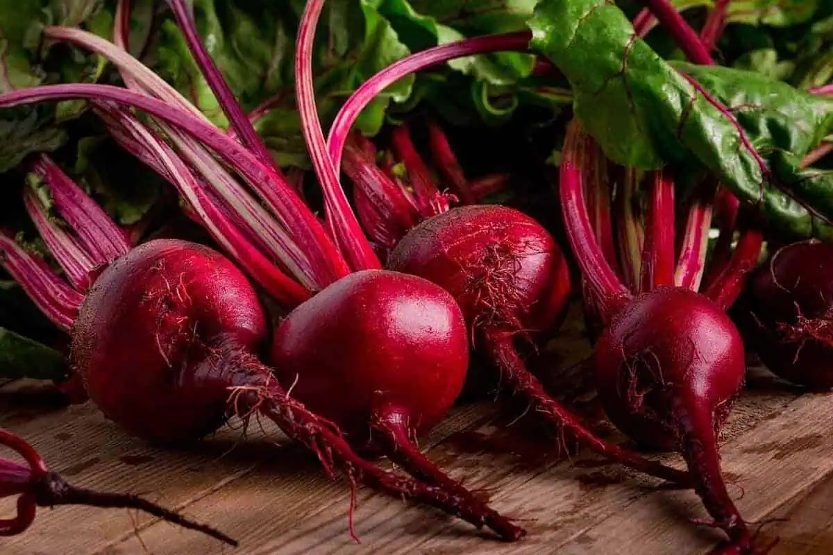 Types of Beets - Red beets