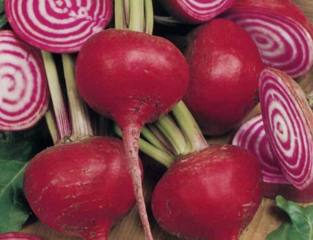 Types of Beets - Striped beets