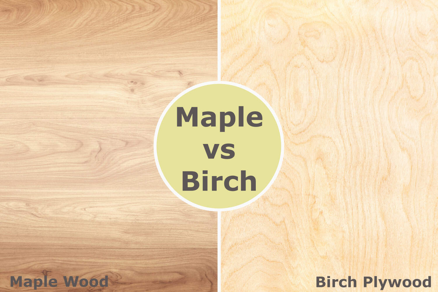 An image showing maple and birch plywood sided by side