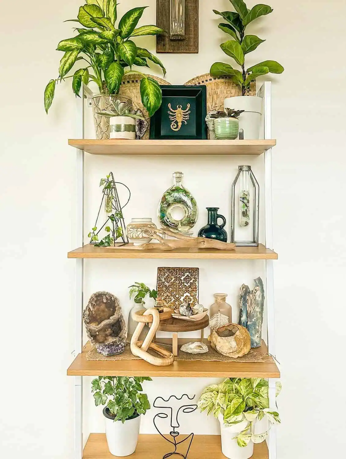 Build Floating Shelves with Plants and Accessories