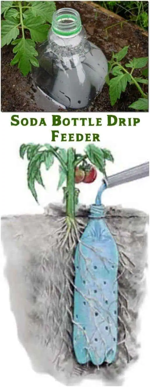 Clever self watering system Clever self watering system