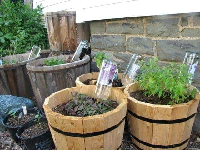 Free DIY Automatic Plant Watering System Options Free DIY Automatic Plant Watering System Options
