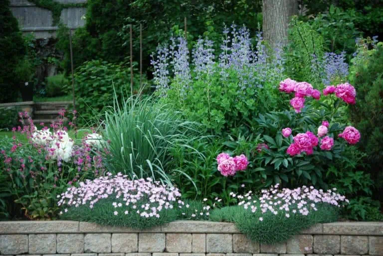 Perennials to Plant in the Fall - A group of flowering perennials Featured
