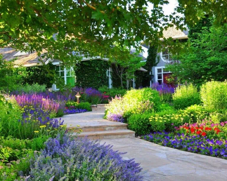 Landscape Your Front Yard Featured