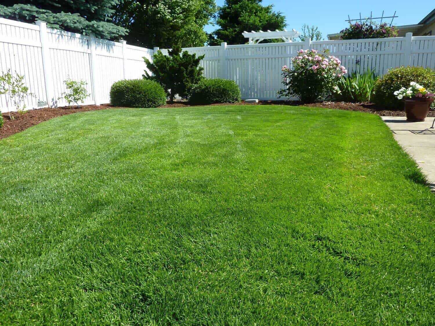 Lawn care tips