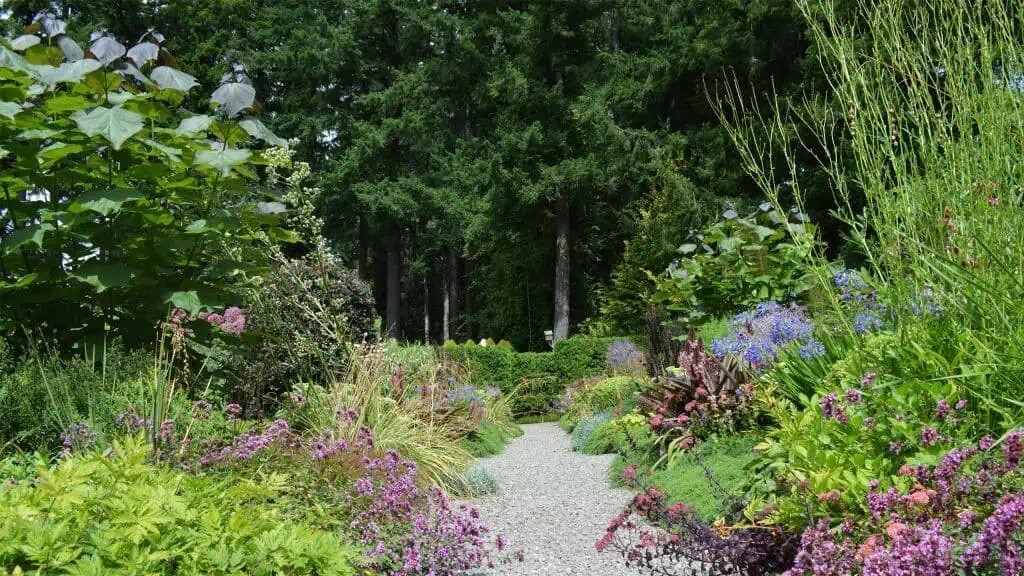 Layering of Plants to Add Depth and Structure