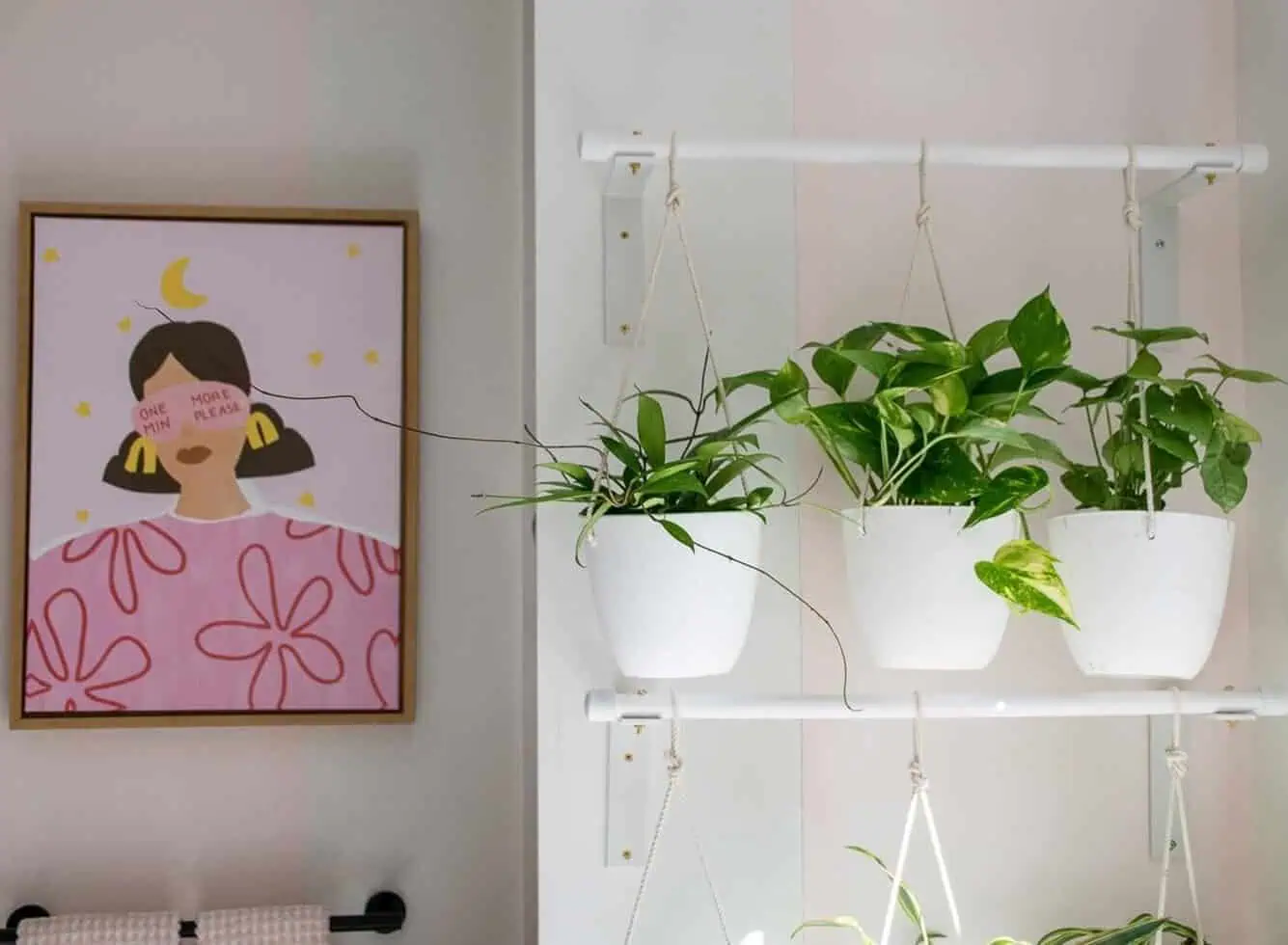 Hang Plants Near Artwork Hang Plants Near Artwork