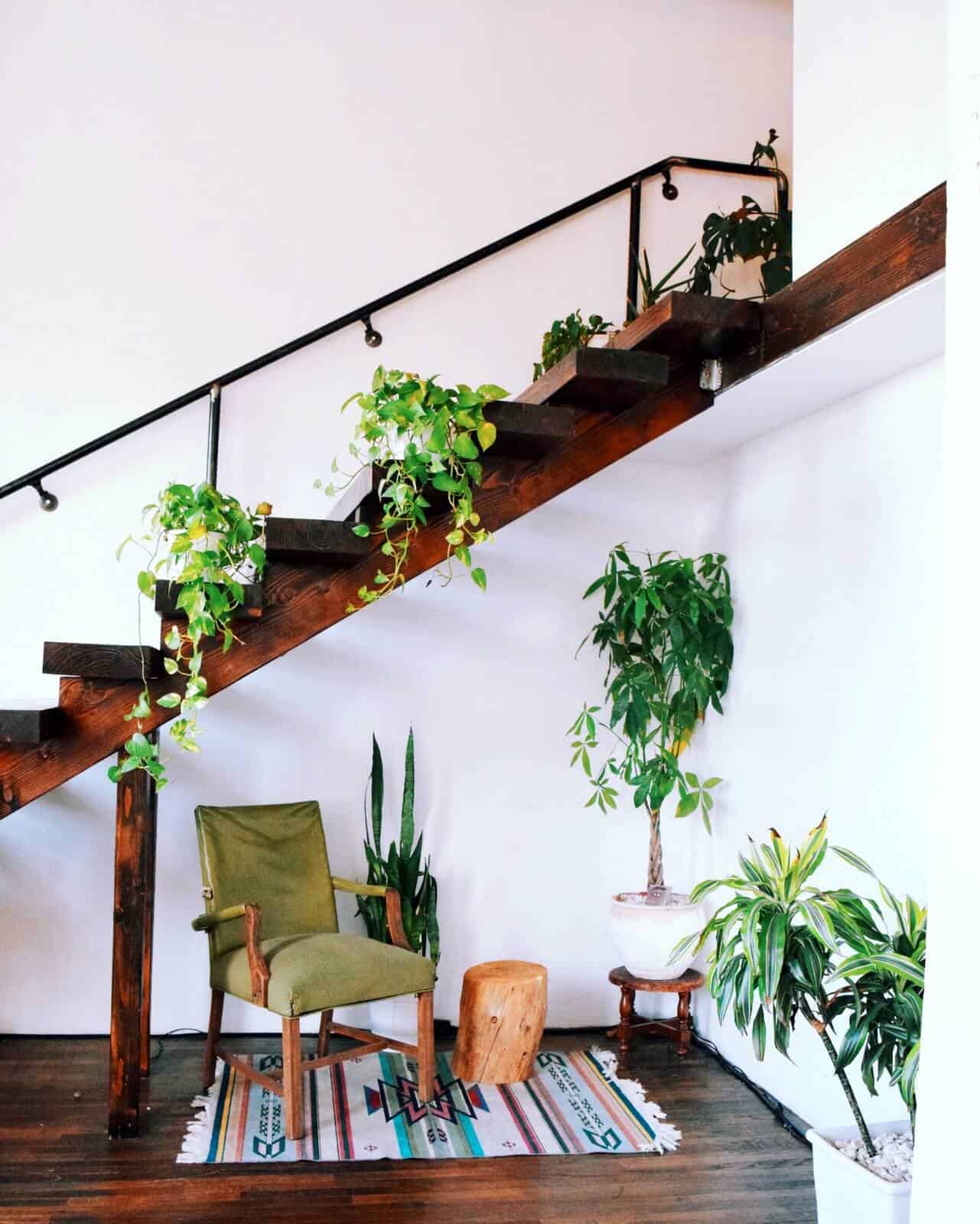 15 Indoor Hanging Plant Ideas to Spruce Up Your Décor - Hort Zone