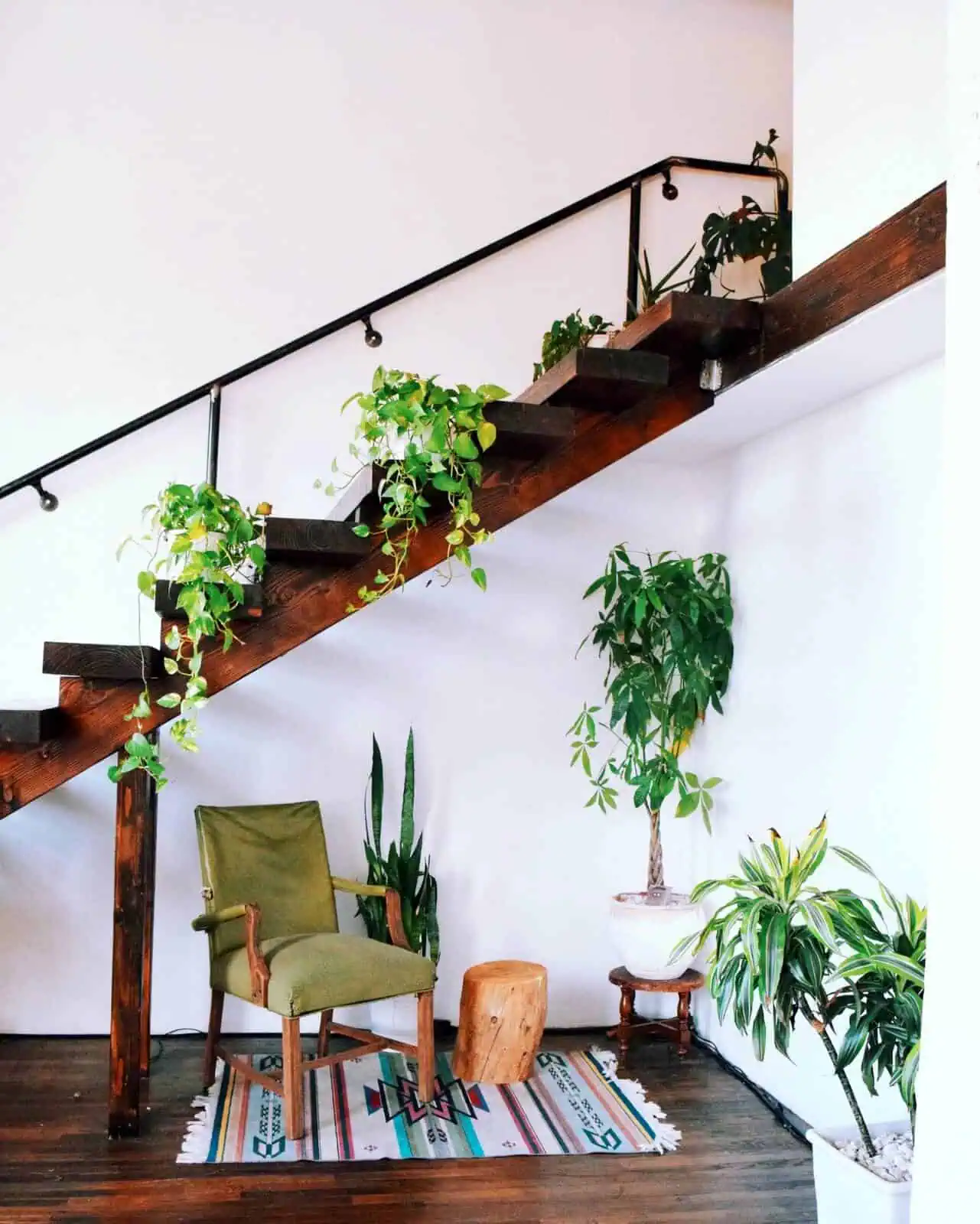Highlight a Staircase with Hanging Plants