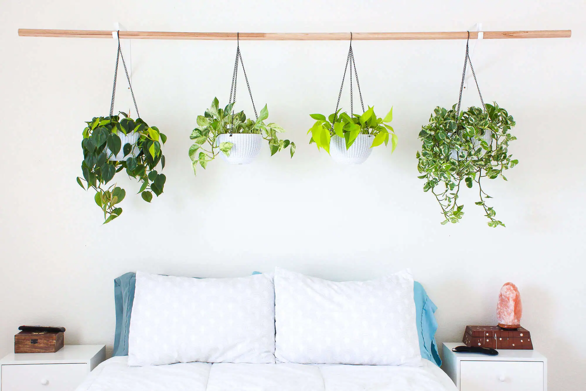 Indoor Hanging Plant Ideas Featured
