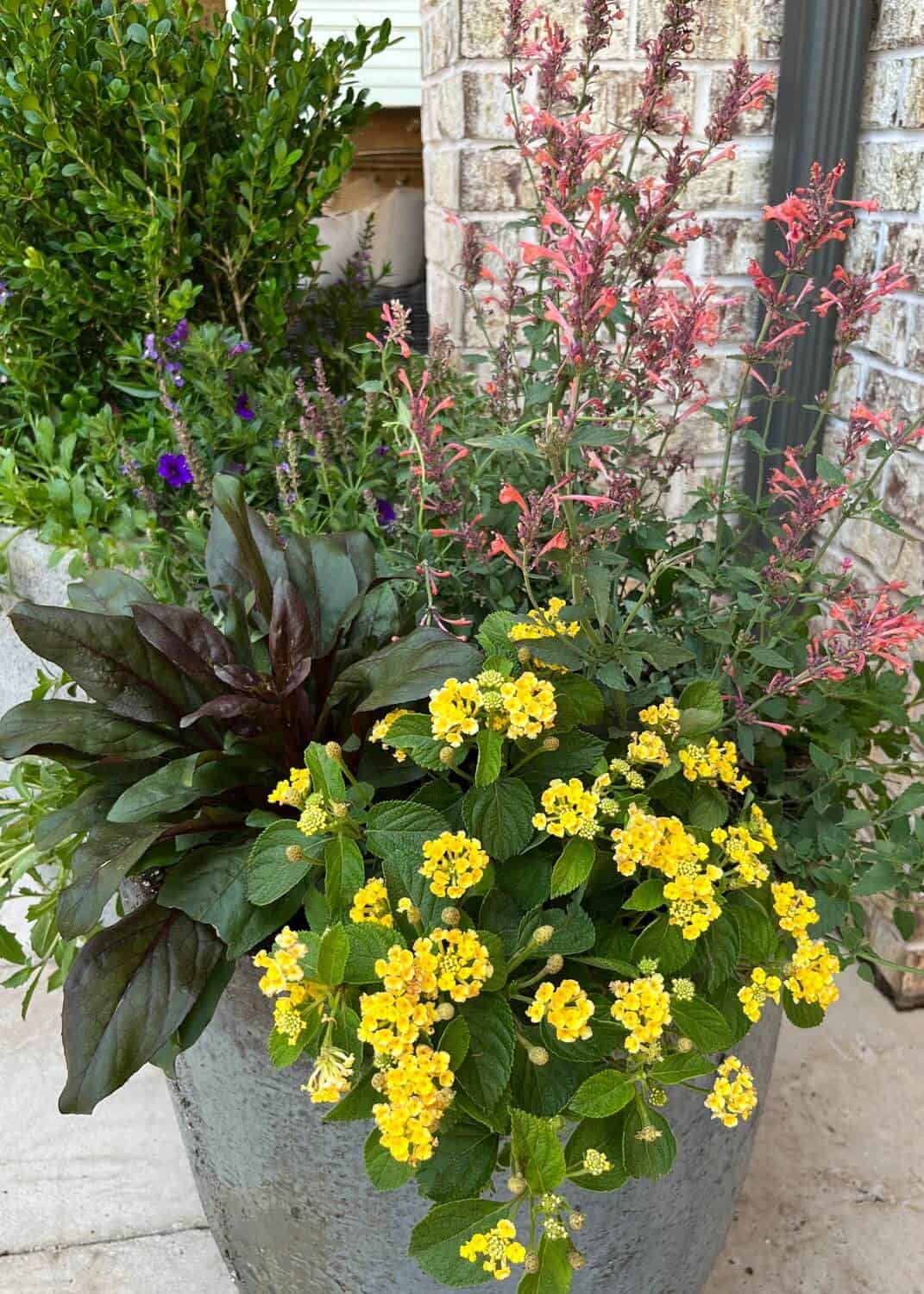 Pot Size and Container Selection