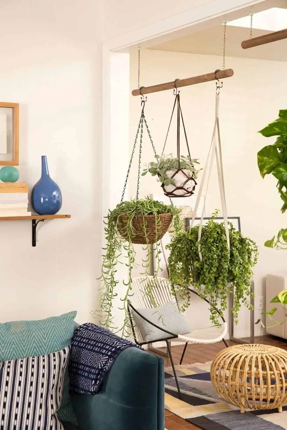 Use Plants to Divide a Room Use Plants to Divide a Room